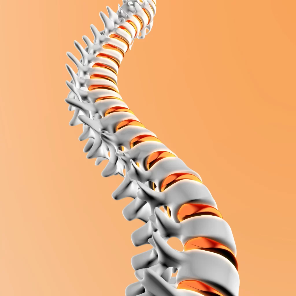 Endoscopic Spine Surgery